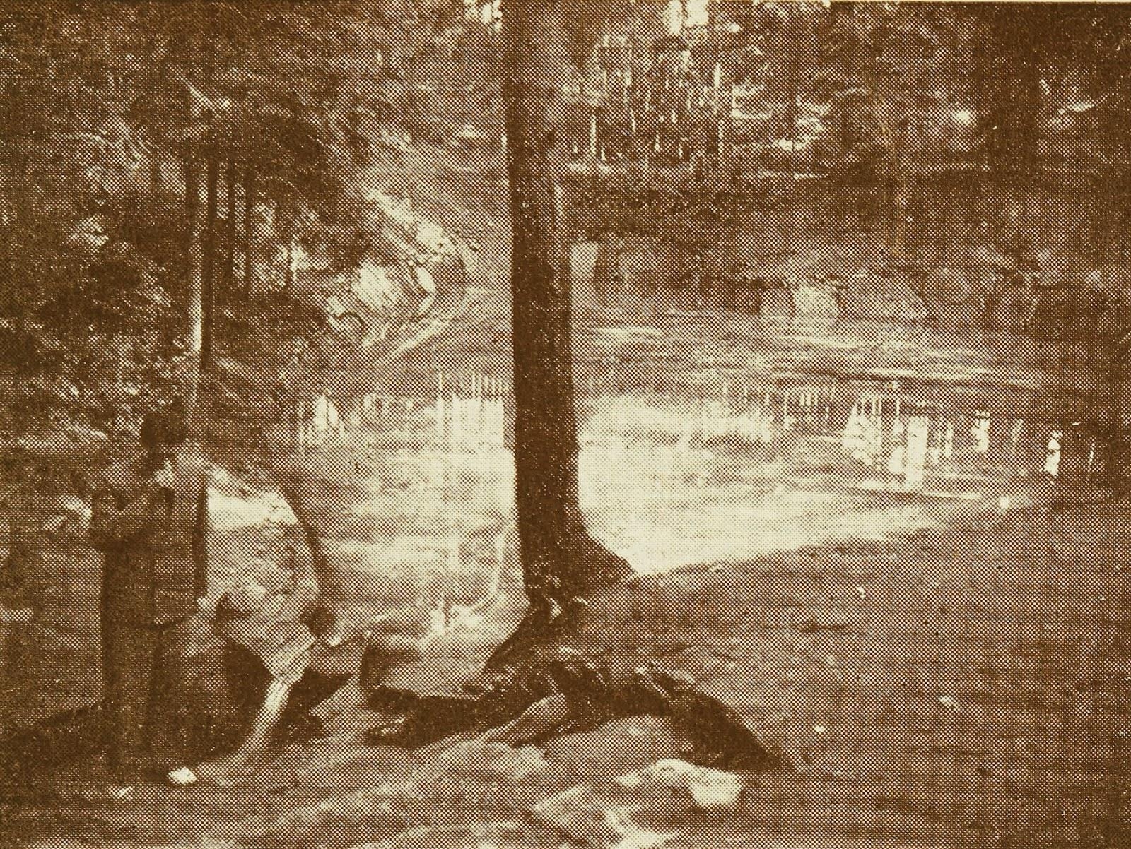 Historia Czarnieckiej Góry-4