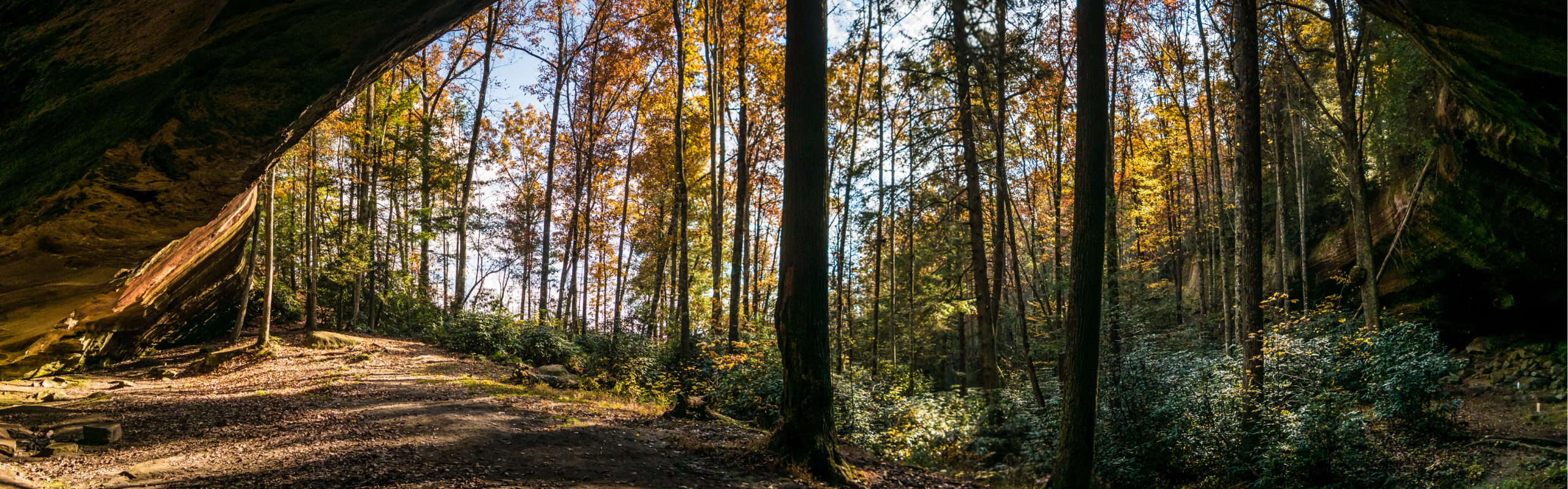 wyecieczka trasą pokopalnianą