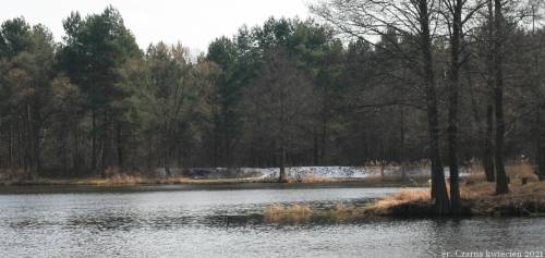 Jezioro Czarneckie