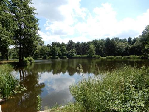 Jezioro Czarneckie