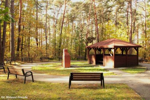 Park w Czarnieckiej Górze. fot Mateusz Zawada