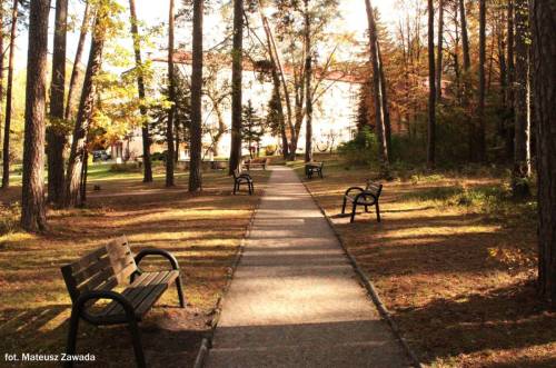 Park w Czarnieckiej Górze. fot Mateusz Zawada