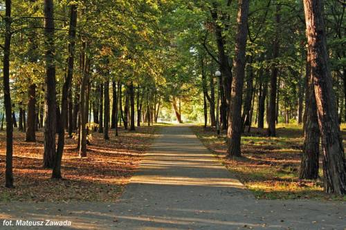 Park w Stąporkowie. fot. Mateusz Zawada
